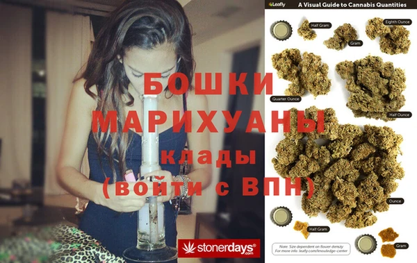 гидра Липки