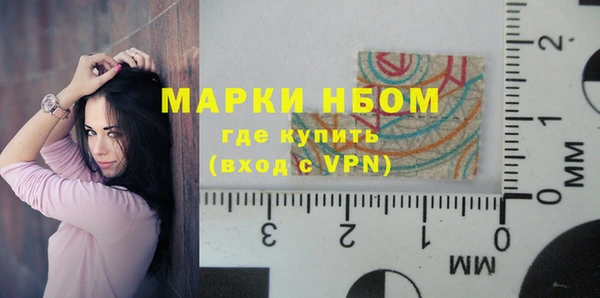 гидра Липки