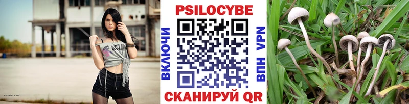 Псилоцибиновые грибы Magic Shrooms  закладки  МЕГА ссылки  Усть-Кут 