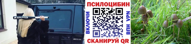 Псилоцибиновые грибы MAGIC MUSHROOMS Усть-Кут