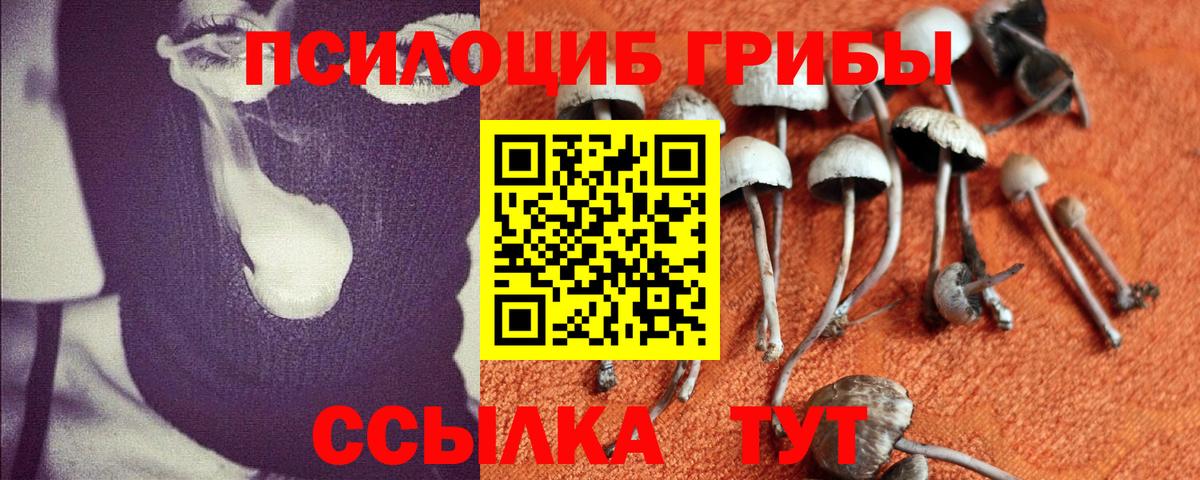 Псилоцибиновые грибы MAGIC MUSHROOMS  Галлюциногенные грибы GOLDEN TEACHER  Усть-Кут 